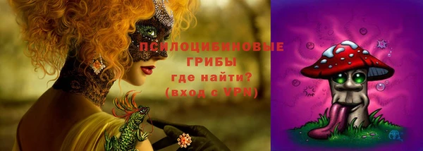 apvp Баксан